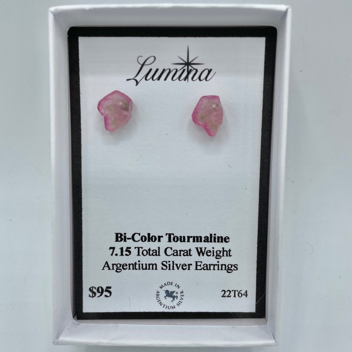 Bi-Color Argentium Silver Earrings