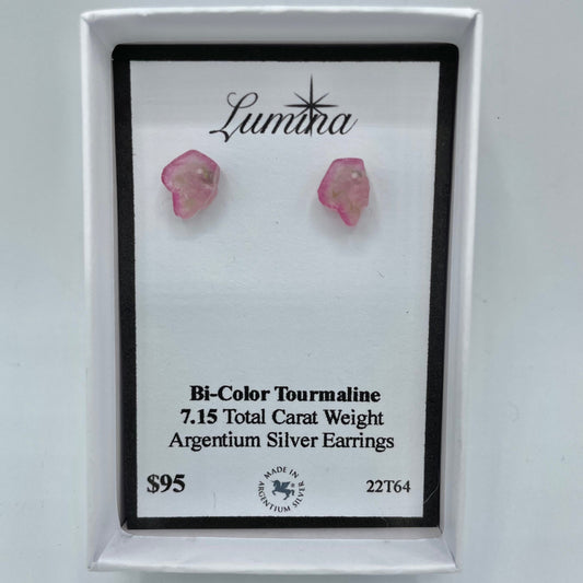 Bi-Color Argentium Silver Earrings
