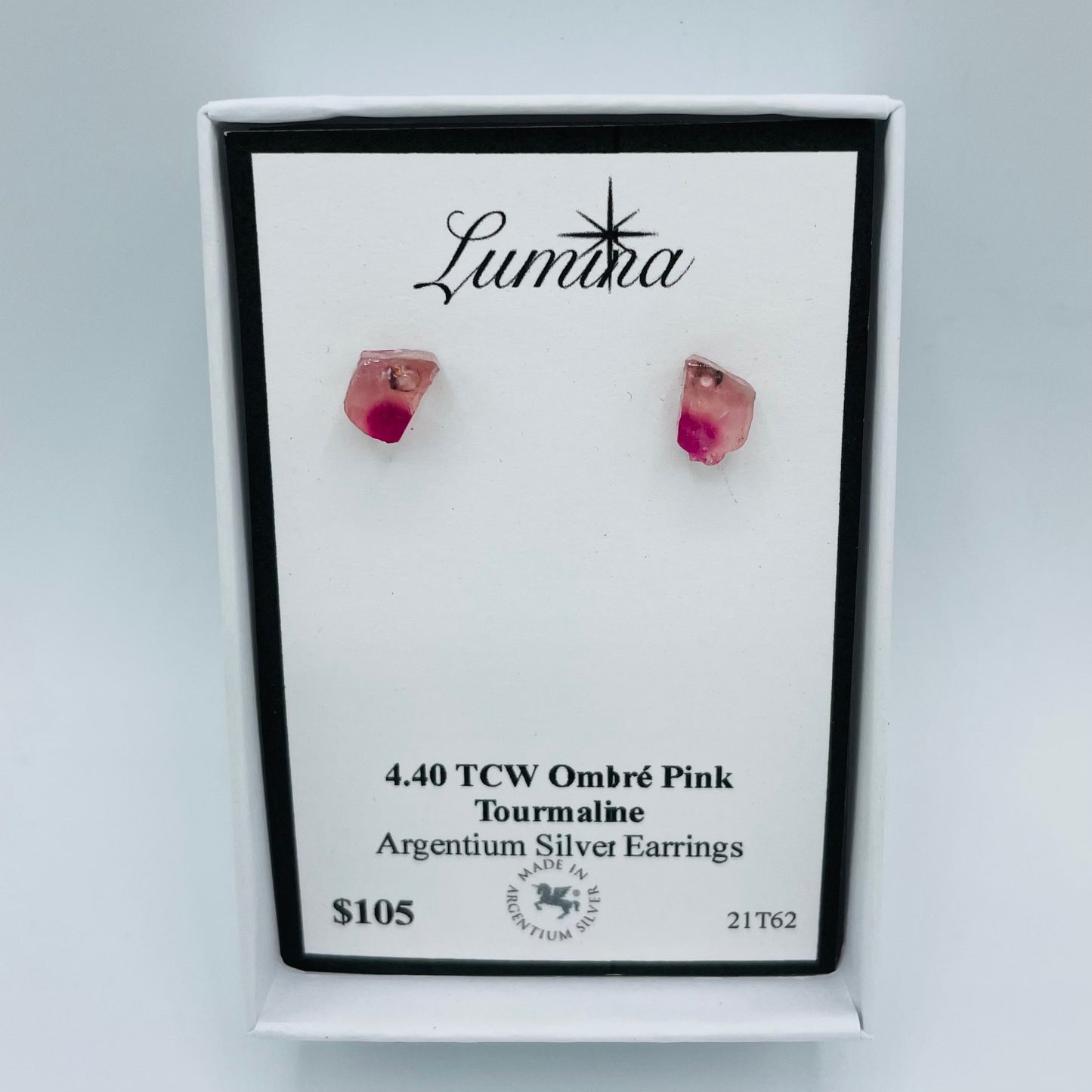 Bi-Color Argentium Silver Earrings