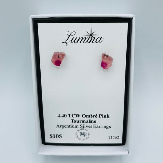 Bi-Color Argentium Silver Earrings