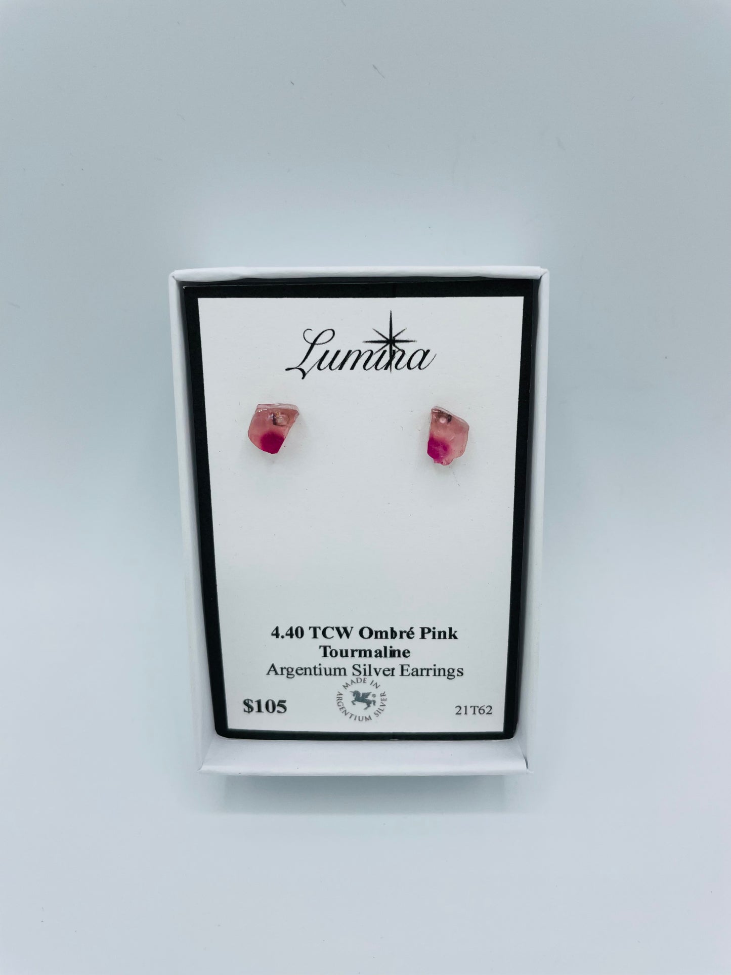 Bi-Color Argentium Silver Earrings
