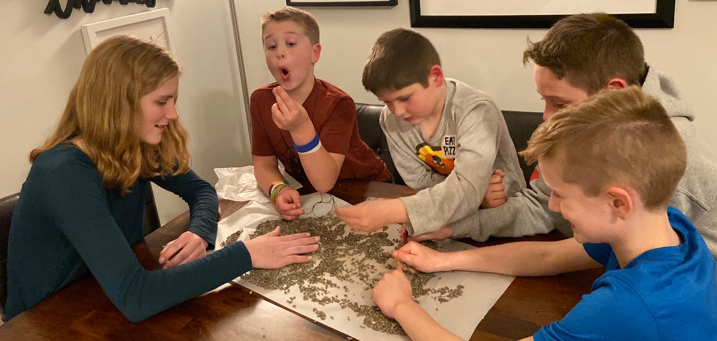 Image of boys and girls mining through a “Mine Your Own” Herkimer Diamond Bucket