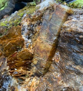 Rockhounding Adventure During COVID-19