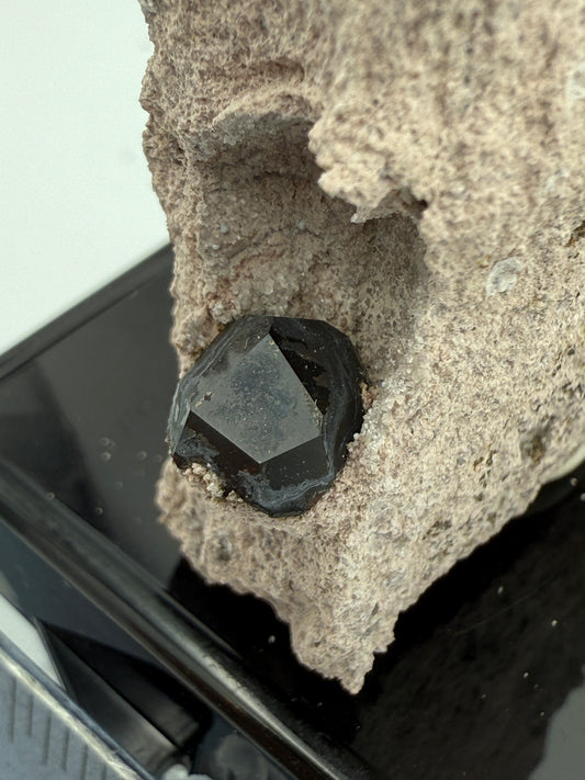   Garnet on matrix Garnet Hill  Ely Nevada 