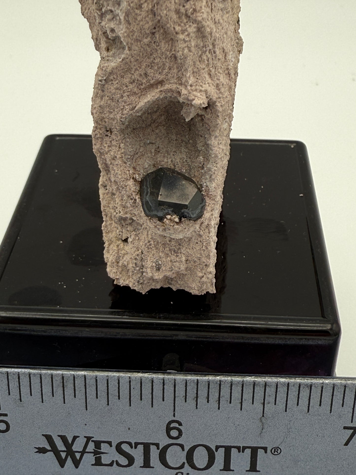   Garnet on matrix Garnet Hill  Ely Nevada 