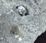 This Unique Business card holder is perfect for the office, home business or for that special someone.   This business card holder contains a Herkimer Diamond, Druzy and Calcite Crystals in Vugs in a Dolomite Matrix.  This piece was mined in Herkimer New York.  Formed over 500 millions years ago this is a one of a kind gift that cannot be duplicated.  Business Card Gap is 4mm