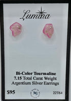 Bi-Color Tourmaline Argentium Silver Earrings
