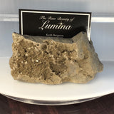 This Unique Business card holder is perfect for the office, home business or for that special someone.   This business card holder contains a micro Herkimer Diamond, Druzy and Calcite Crystals in a Dolomite Matrix.  This piece was mined in Herkimer New York.  Formed over 500 millions years ago this is a one of a kind gift that cannot be duplicated.  Business Card Gap is 1cm